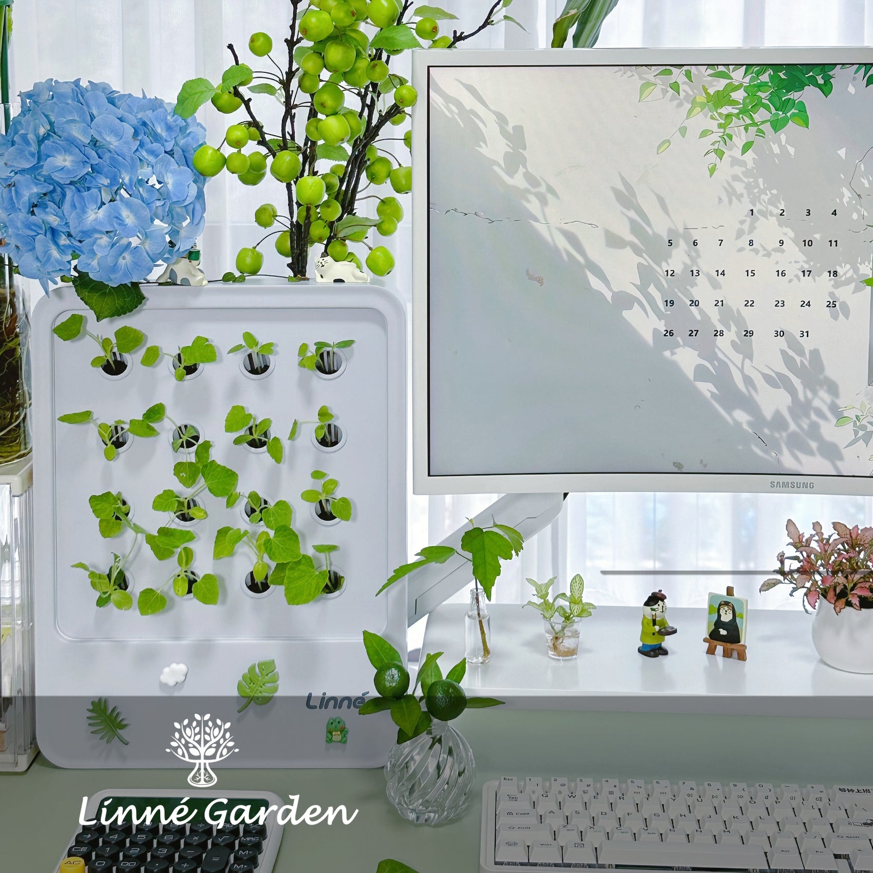 A Desk Full of Greenery: The Journey from Seed to Vine