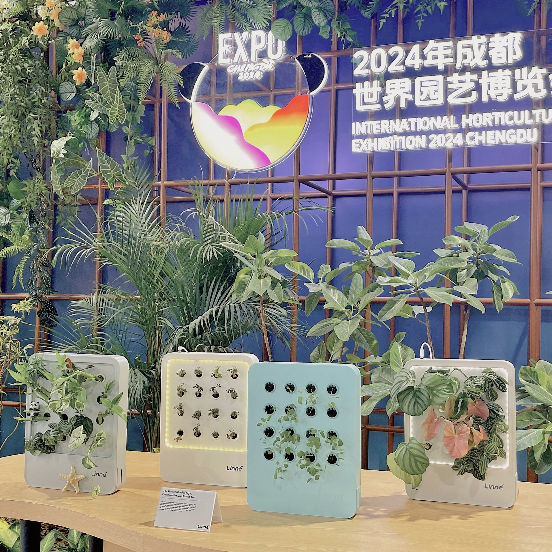 LinneGarden’s Breakthrough at the 2024 International Horticultural Exhibition