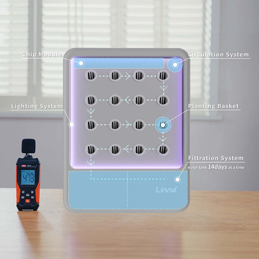 LinneGarden-The Living Painting