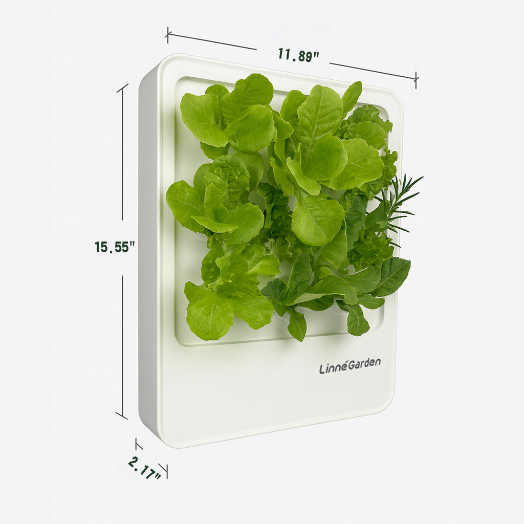 LinneGarden-The Living Painting