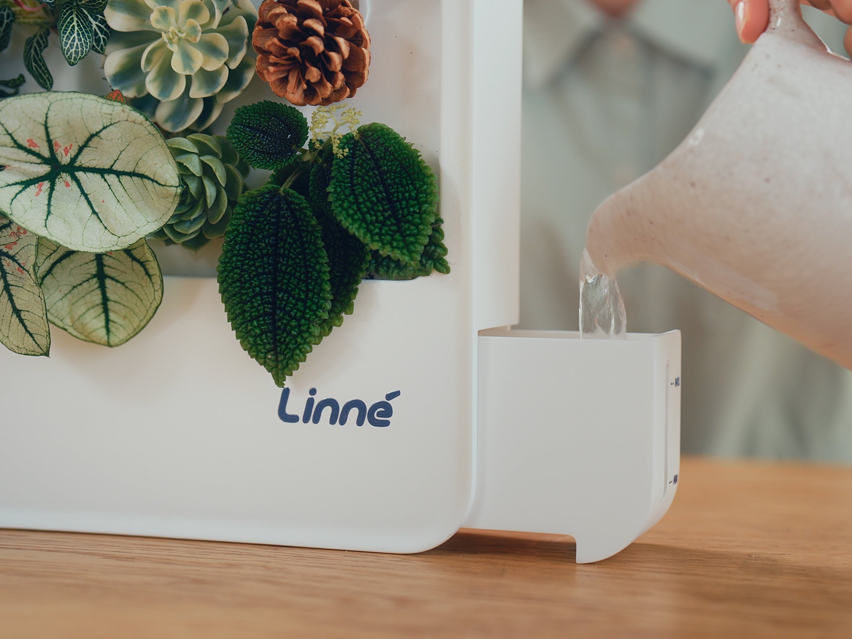 LinneBox Ⅰ-LinneGarden™