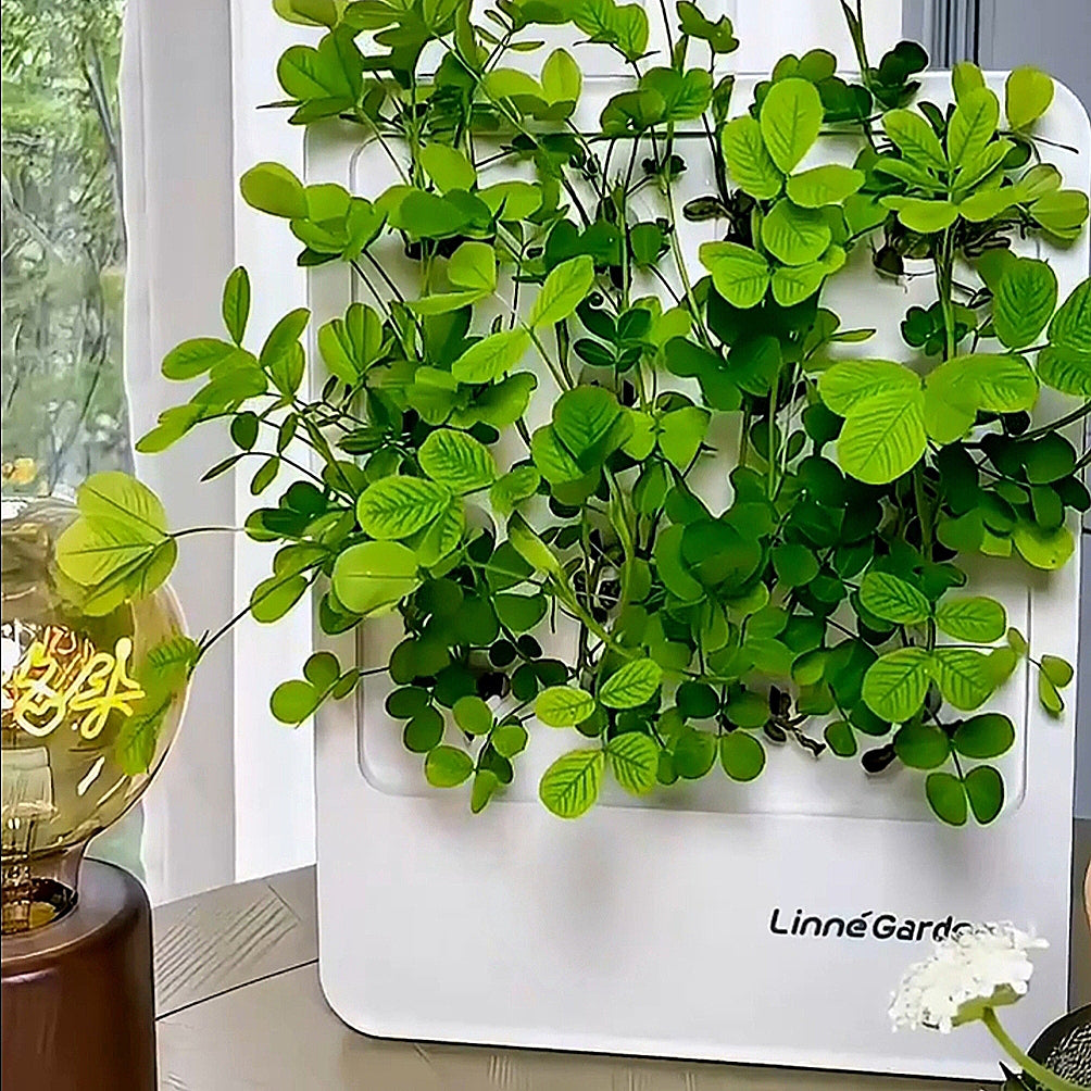 LinneGarden-The Living Painting