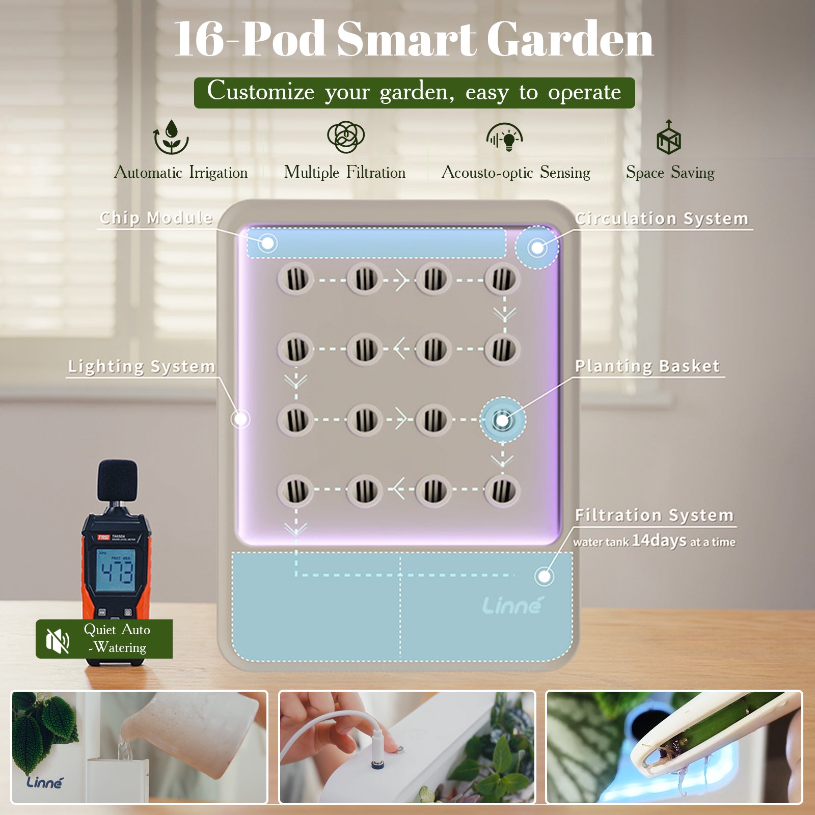 Linne – Das lebende Gemälde