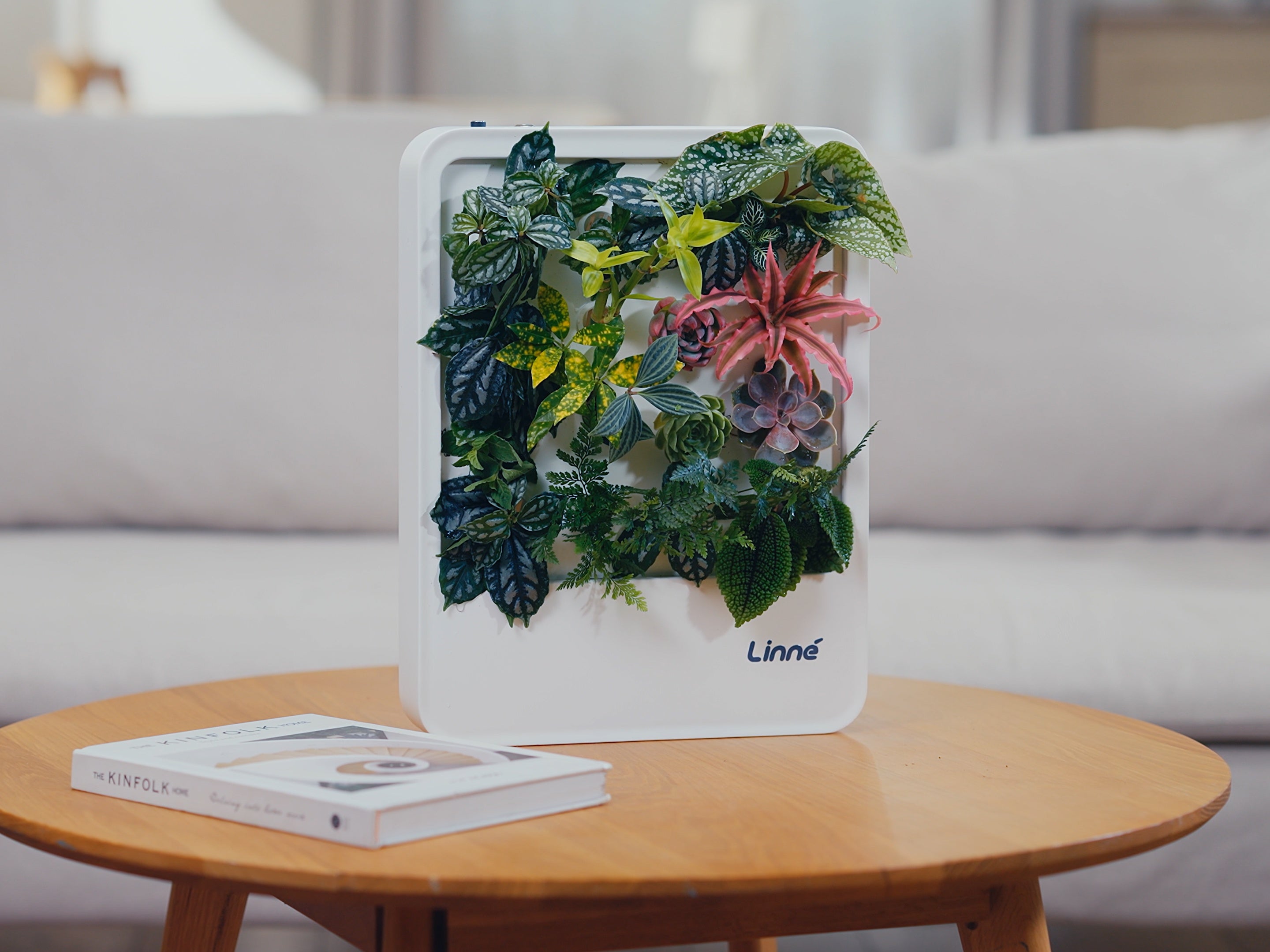 LinneBox Ⅰ-LinneGarden™