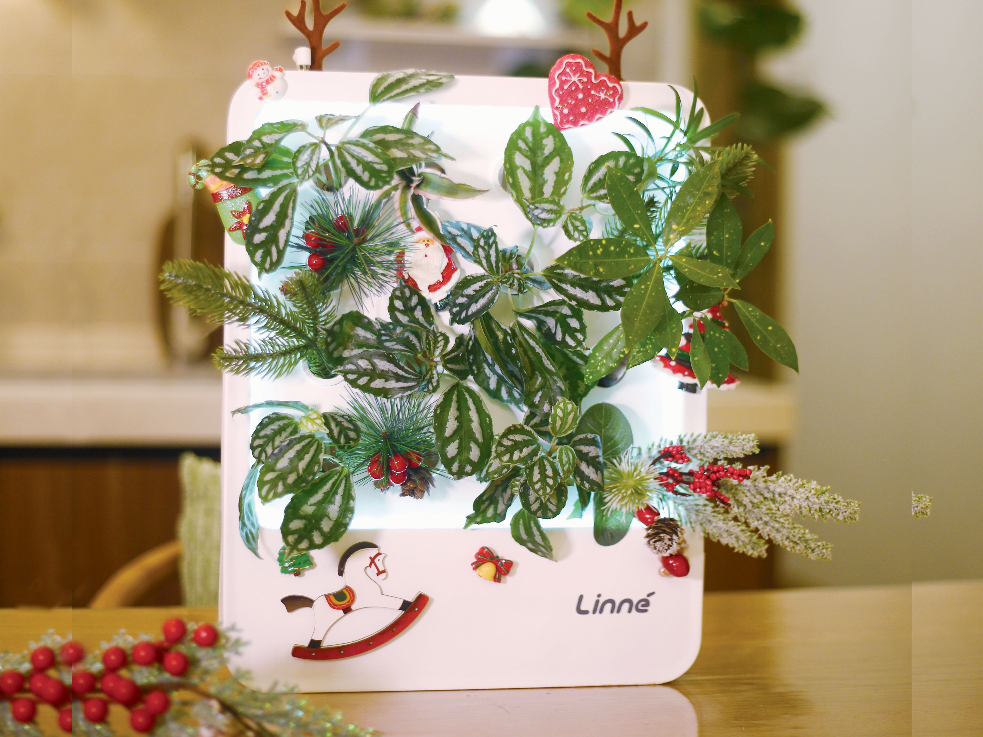 Christmas Pins Kit