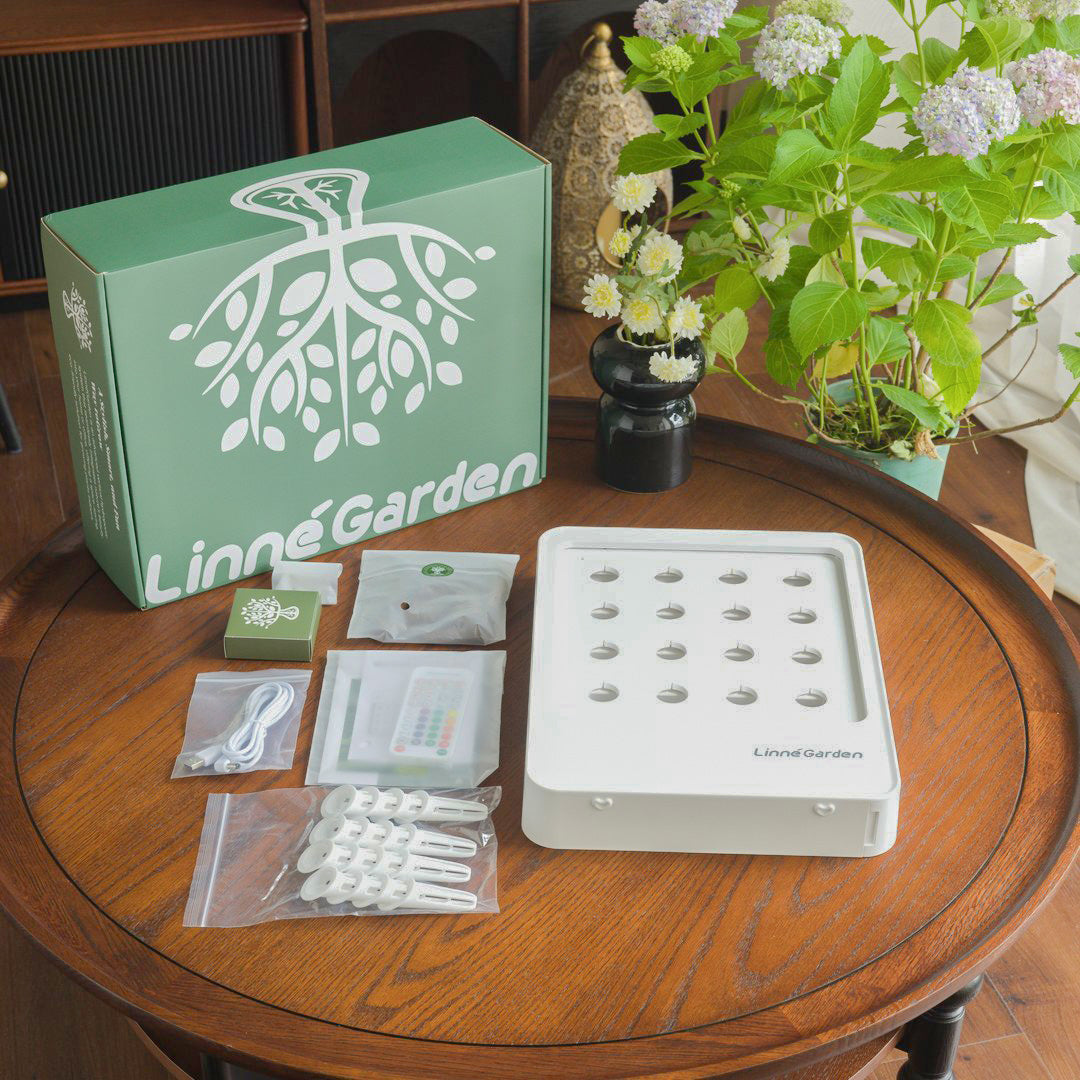 LinneBox-The Living Painting