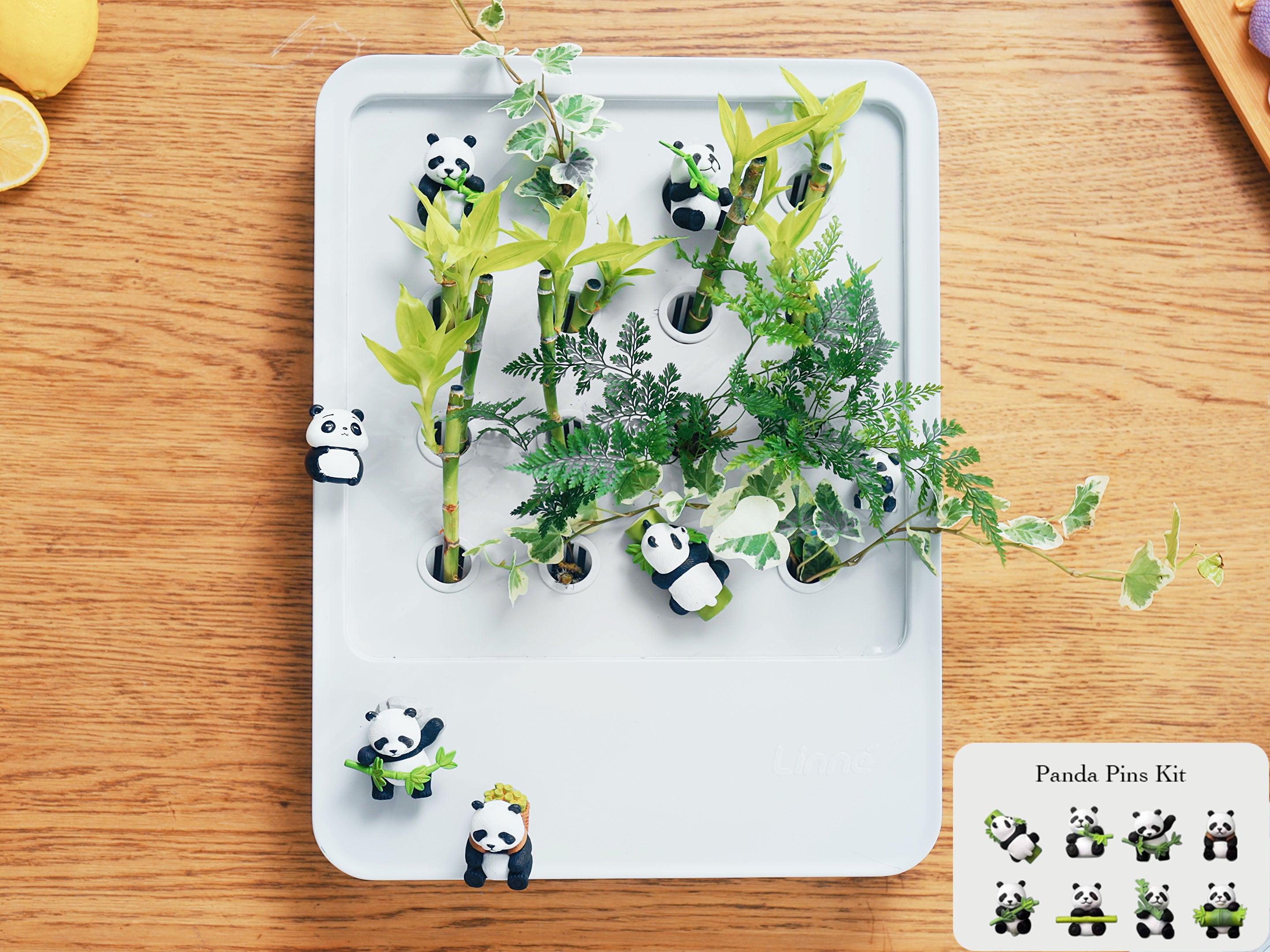 Panda Pins Kit