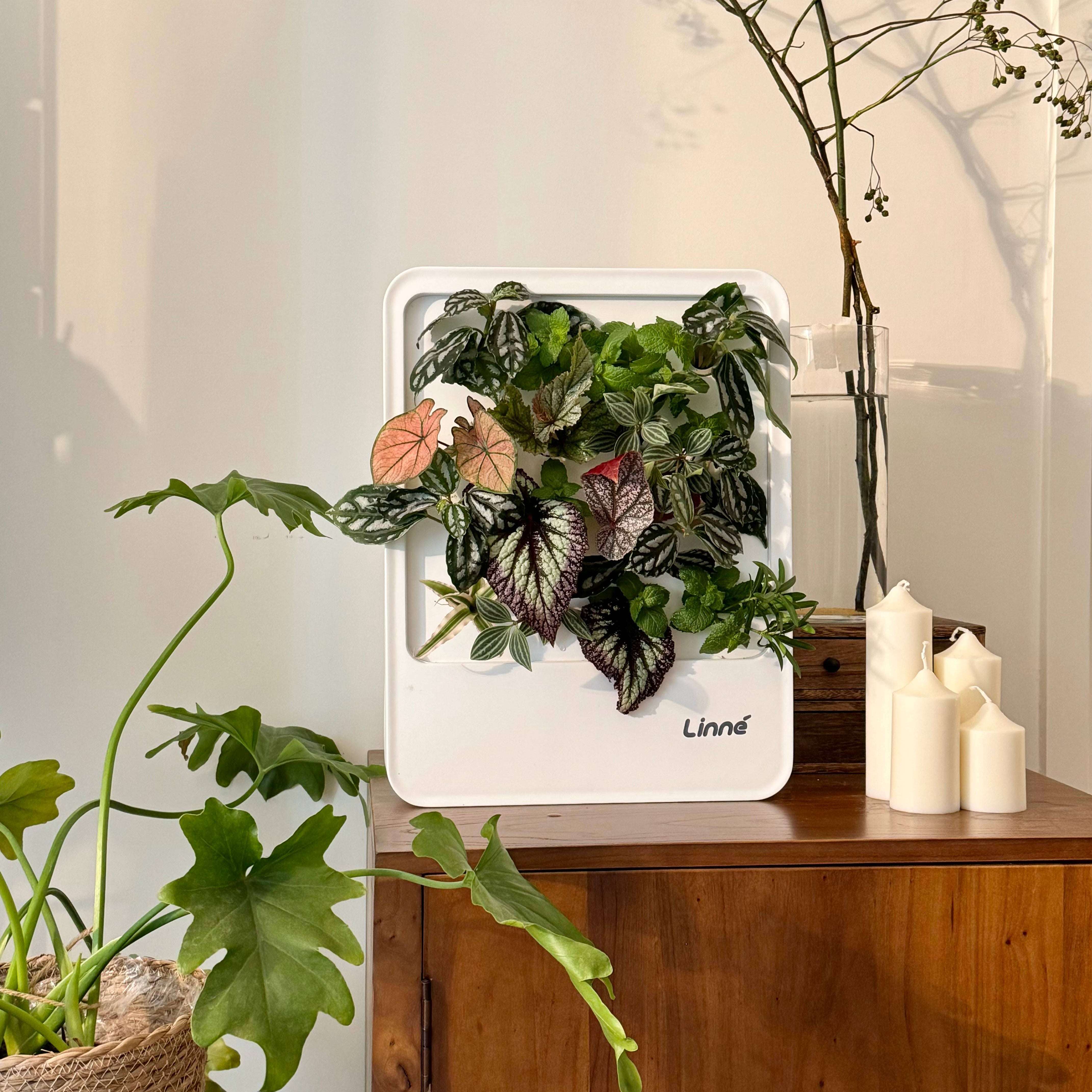 LinneGarden-The Living Painting